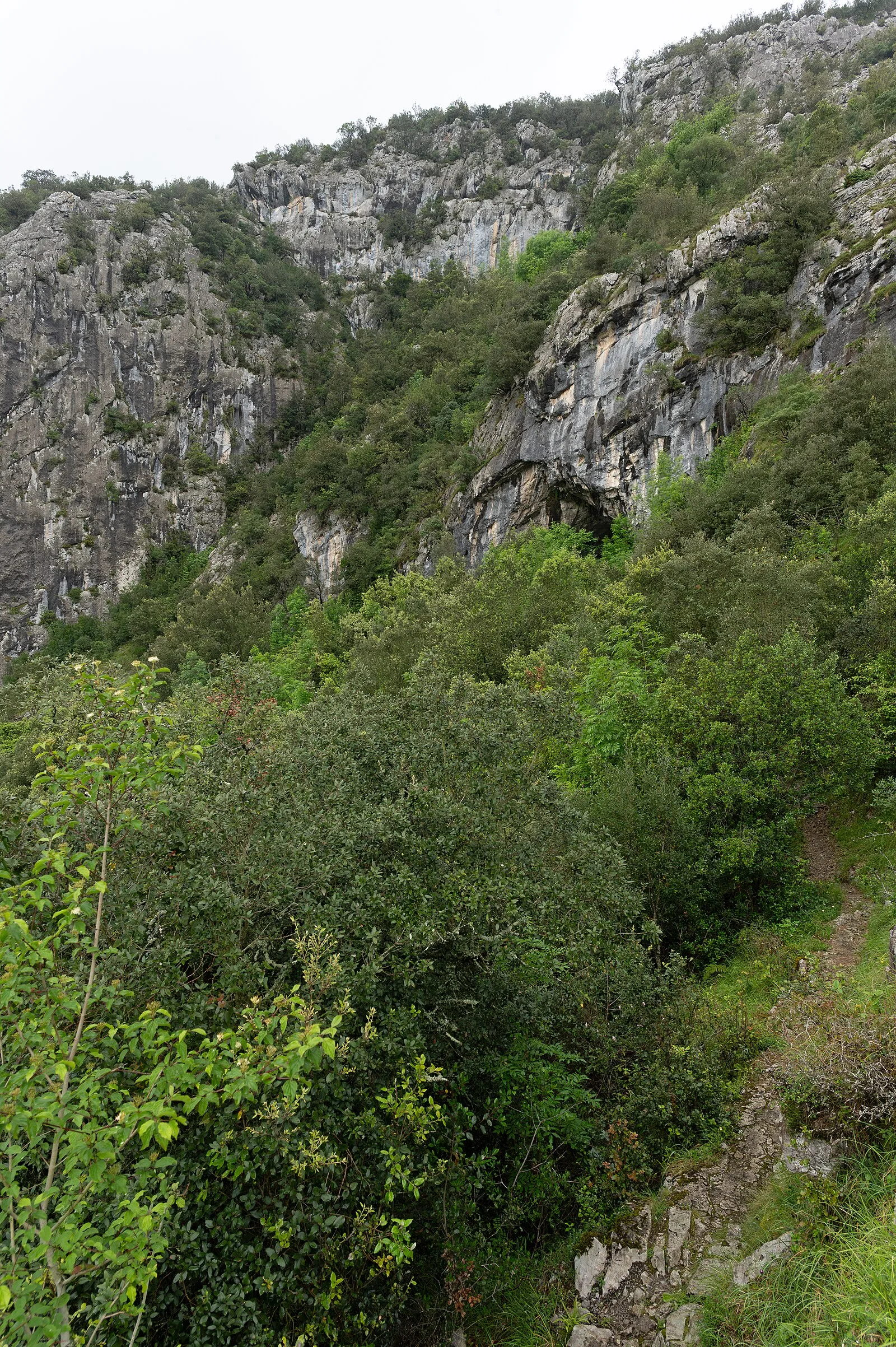 El Mirón Cave